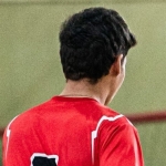aires