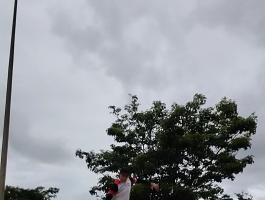 Foto do jogador