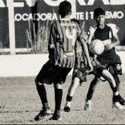 Cajarana 