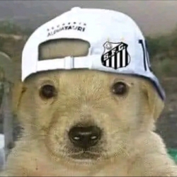 Felipe