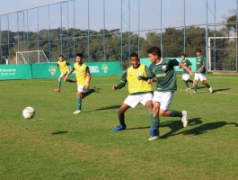 Foto do jogador