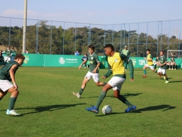 Foto do jogador