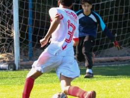Foto do jogador